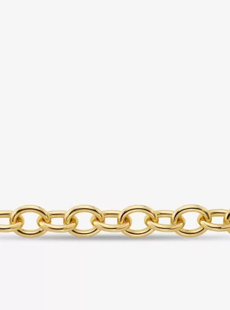 Stort halsband med ädelmetallpläterad mässingskedja
